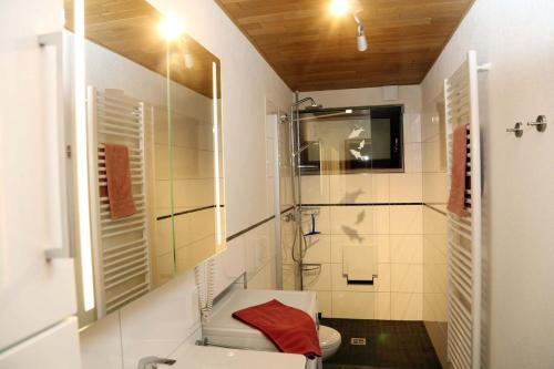 ein Bad mit einem WC und einem Waschbecken in der Unterkunft Panoramablick in Unter Schönmattenwag