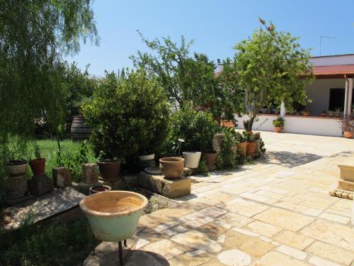 Zahrada ubytování Agriturismo Casa Colonica Liliane