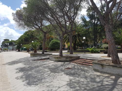 a park with trees in the middle of a sidewalk at carugio del fezzano in Fezzano
