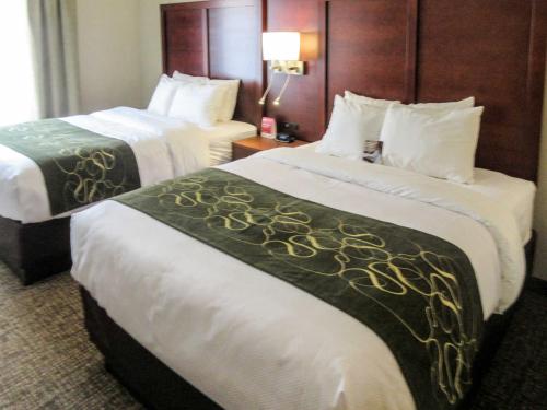 Postel nebo postele na pokoji v ubytování Comfort Suites Kyle