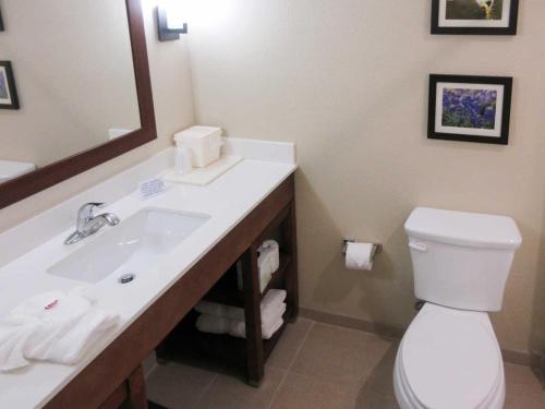 a bathroom with a sink and a toilet and a mirror at Comfort Suites Kyle in Kyle