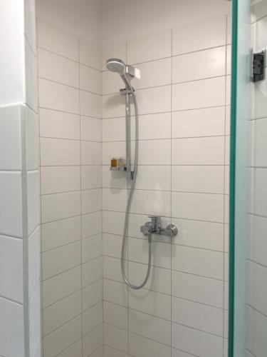 a shower with a shower head in a bathroom at Inga Vacation House in Druskininkai