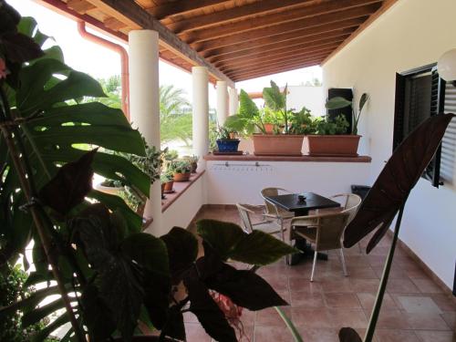 patio ze stołem, krzesłami i roślinami w obiekcie Casa Colonica Liliane B&B w mieście Porto Cesareo