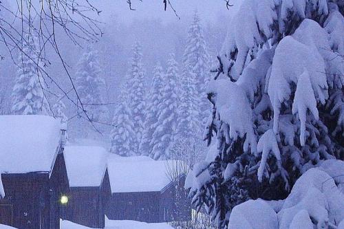 a snow covered yard with a house and trees at Camping Yoghi e Bubu in San Giacomo