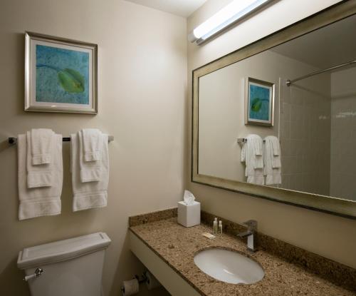 a bathroom with a sink and a mirror at Cirque St Armands Beachside in Sarasota