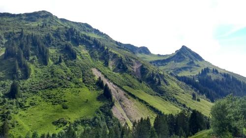 a green mountain with trees on the side of it at Haus Roswitha in Damuls