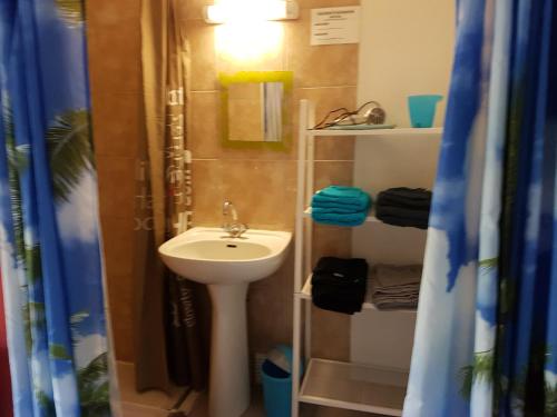 une petite salle de bain avec un lavabo et une douche dans l'établissement Proche chateau, à Muides-sur-Loire