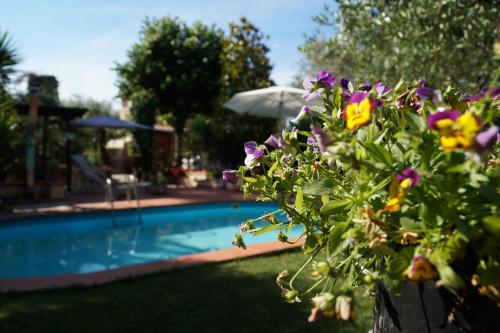 eine Pflanze mit lila Blumen neben einem Pool in der Unterkunft In Battaglino in Cascina