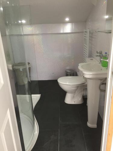a bathroom with a toilet and a sink at Barton Gate Farm B&B in Bude