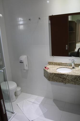 a bathroom with a sink and a toilet and a mirror at Blu Terrace Hotel in Blumenau