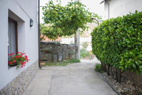 an alley with bushes and a building with a window at Apartment Raza in Konjic