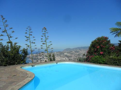 a blue swimming pool with a city in the background at Bay View Apartment in Funchal