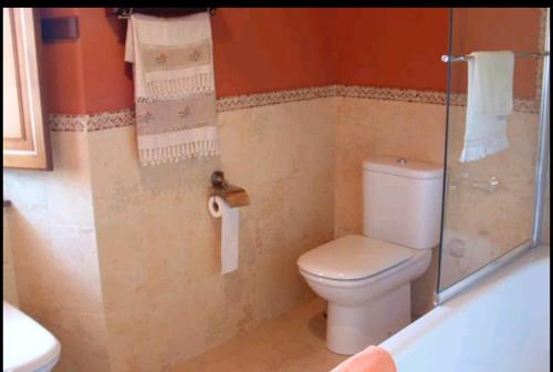 a bathroom with a toilet and a shower and a tub at Casa Rural Oza dos Ríos in Oza dos Ríos