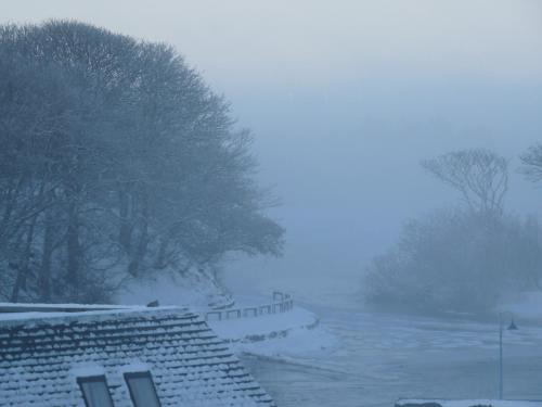 a snow covered yard with trees and a building at Bank Guest House in Wick