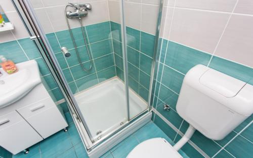 a bathroom with a shower with a toilet and a sink at Apartment Kricin in Baška