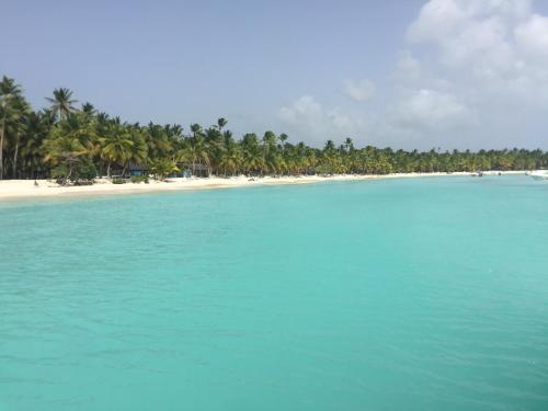 a beach with a bunch of palm trees and blue water at B&B Villa Luna in Bayahibe