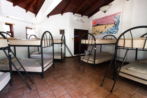 سرير بطابقين أو أسرّة بطابقين في غرفة في Tamarindo Backpackers