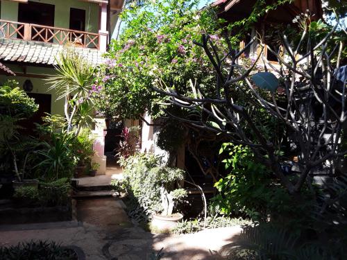 a garden in front of a house with plants at Blue Star Bungalows & Cafe in Amed