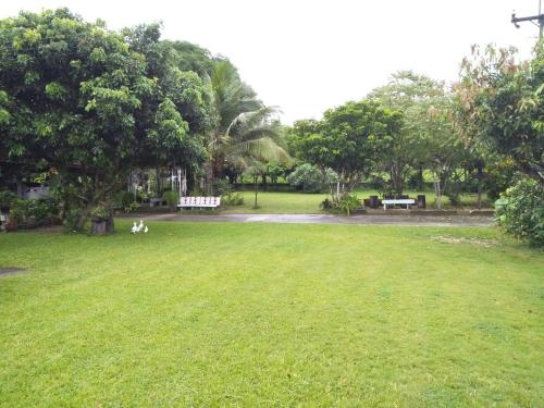 a dog sitting in the grass in a park at Oui Kaew Homestay in Phayao