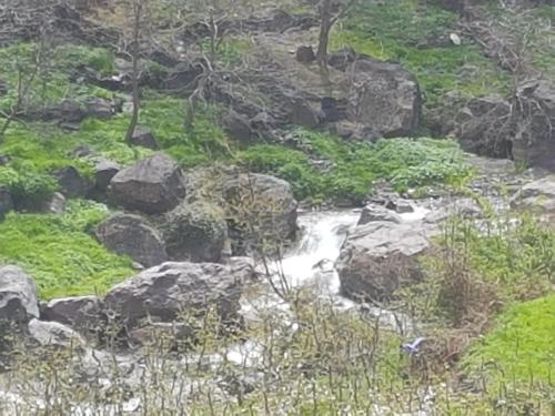 a stream of water with rocks and trees at Dar Amadine in Imlil