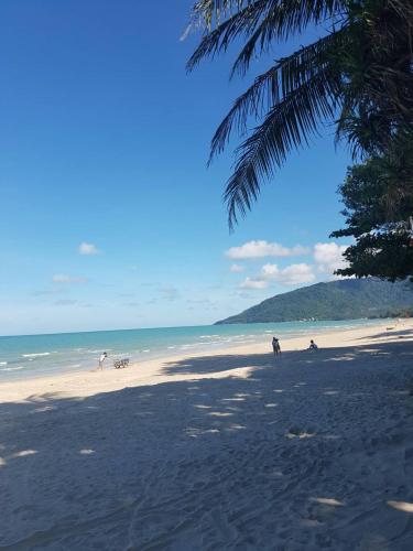 a beach with a palm tree and people on the beach at Phuphat Beach Resort in Khanom