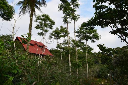 Naturlandschaft in der Nähe der Lodge
