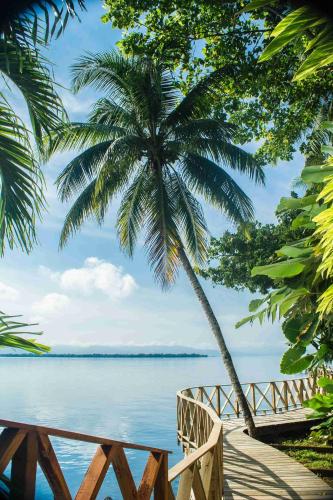 a palm tree and a wooden walkway next to the water at Banana Palms Hotel in Rio Dulce