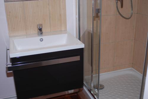 un baño con lavabo y ducha en Myappartepinal, en Épinal
