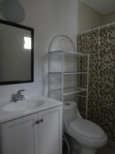 a bathroom with a toilet and a sink and a mirror at Posada San Cristobal in Cuernavaca