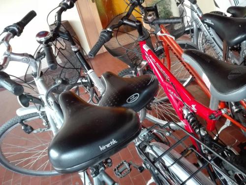 a group of bikes parked next to each other at B&B Casa Sartori in Malcesine