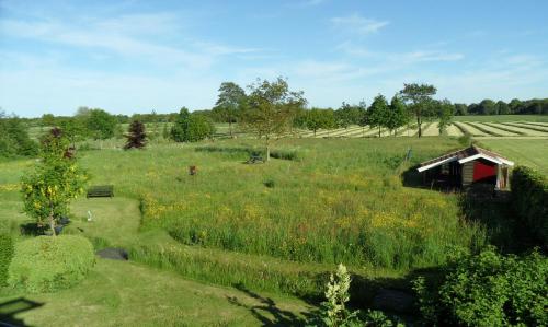 a field with a barn in the middle of it at Natuurhuisje Silverhuys in Oosterstreek