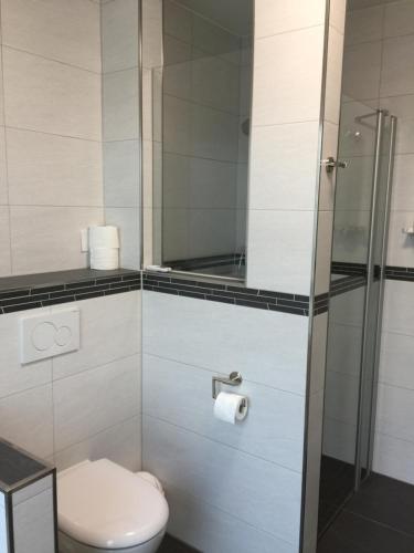 a bathroom with a toilet and a glass shower at Kornspeicher in Nörten-Hardenberg