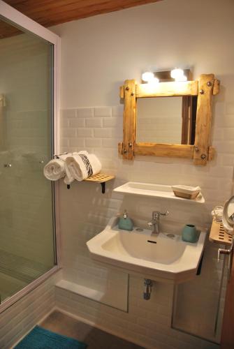 La salle de bains est pourvue d'un lavabo, d'un miroir et d'une douche. dans l'établissement cal erre, à Céret