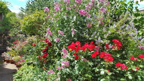 a garden filled with lots of red and pink flowers at Les Hirondelles in Sainte-Suzanne