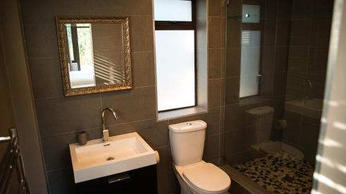 a bathroom with a toilet and a sink and a mirror at Knysna Forest View in Knysna