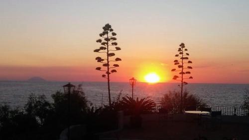 a sunset over the ocean with a plant in the foreground at Residenza Villa Spagnola in Parghelia
