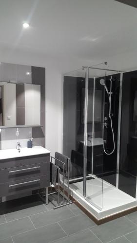een badkamer met een glazen douche, een wastafel en een wastafel bij La Villa Geiss in Épernay