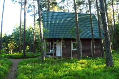 a log cabin in the woods with a green roof at Roosi Camping Houses in Rannaküla