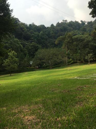 a field of green grass with trees in the background at Sun Moon Lake Youth Hostel in Yuchi