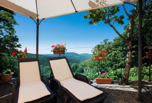 two chairs on a patio with a view of the mountains at Albergo Ristorante il Fungo in Santa Fiora