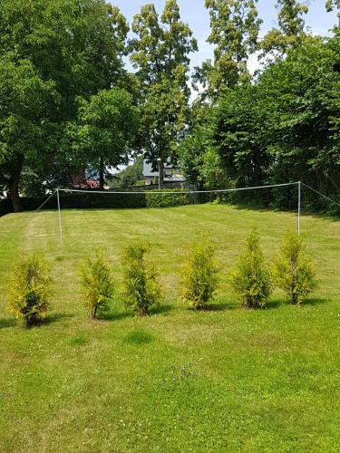 a net in a field with plants in the grass at BLUE PENSiON in Svoboda nad Úpou