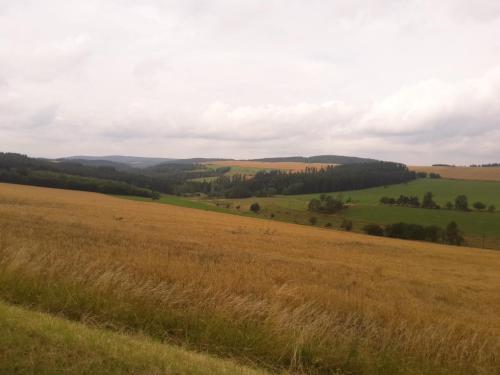 a field of grass with trees in the distance at Pension Thüringer Wald in Reichmannsdorf