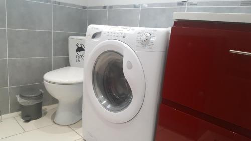 a washing machine in a bathroom with a toilet at La Maison des Oiseaux in Eu