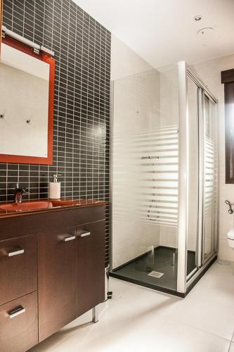 a bathroom with a sink and a shower with a mirror at Apartamento el Palomar in Ayllón