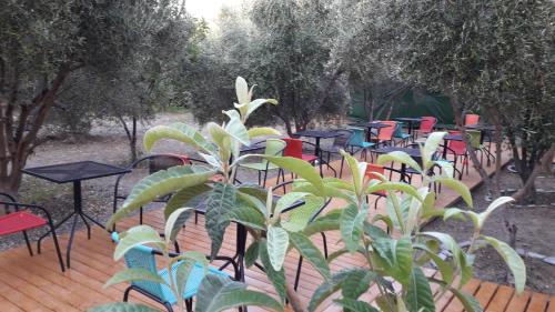 Φωτογραφία από το άλμπουμ του Naxos olive & home στις Εγκαρές
