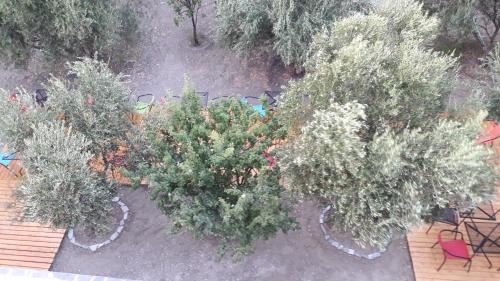 Φωτογραφία από το άλμπουμ του Naxos olive & home στις Εγκαρές