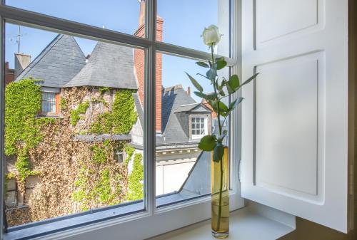 um vaso com uma flor sentado no peitoril da janela em Hôtel L'Adresse em Tours