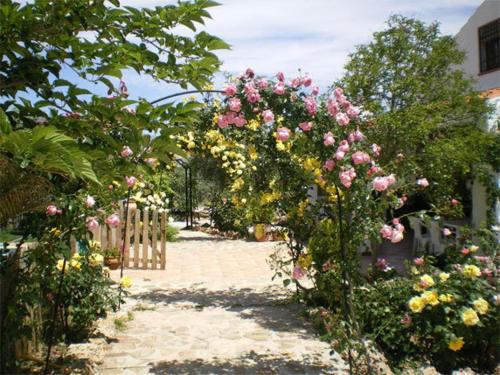 Κήπος έξω από το Casas Rurales Cazorla-Alcón