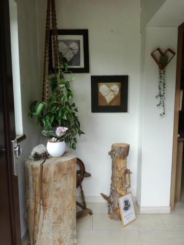 Ferienwohnung Wetterstein – Photos 5