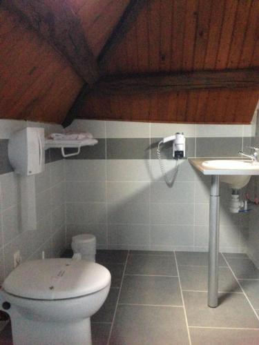 a bathroom with a toilet and a sink at Logis Auberge De La Plaine in La Rothière